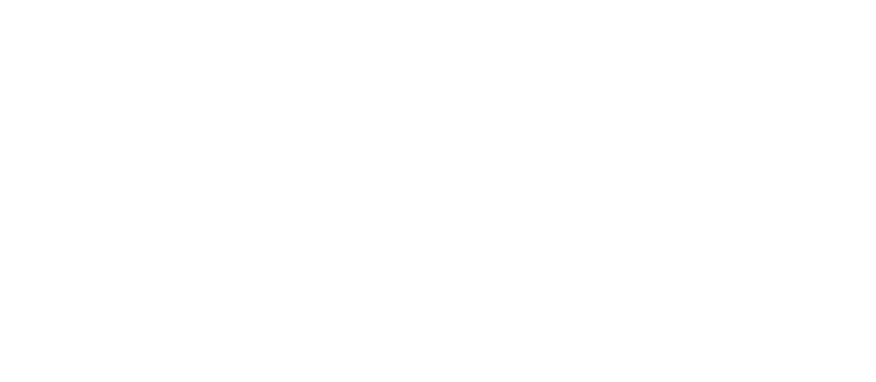 Zend by Perforce